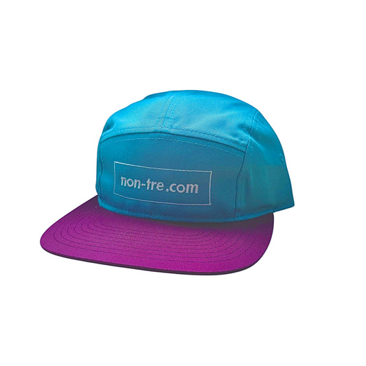 BOX DOMAIN LOGO 5PANEL CAP